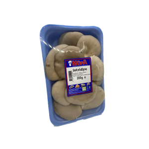 Mantar İstridye 200 G