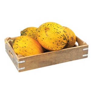 Kavun Kırkağaç Kg